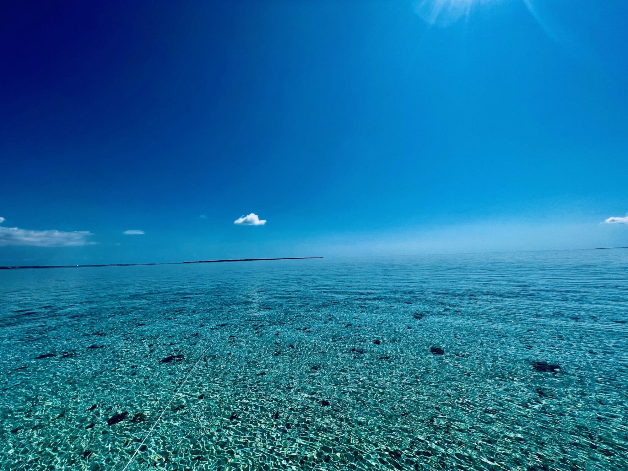 Calm石垣島 石垣島シュノーケル専門店 石垣島でのアクティビティはお任せください